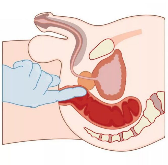 Lokacija moške točke G