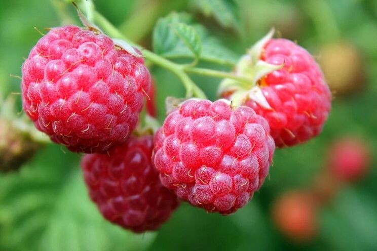 maline za povečanje moči